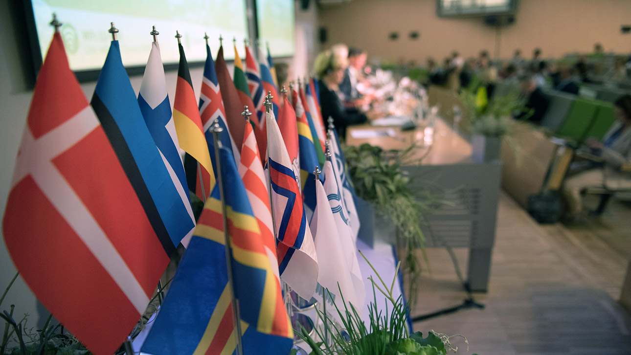 Flaggen der Ostseeanrainer-Staaten bei einer Tagung der Ostseeparlamentariarkonferenz