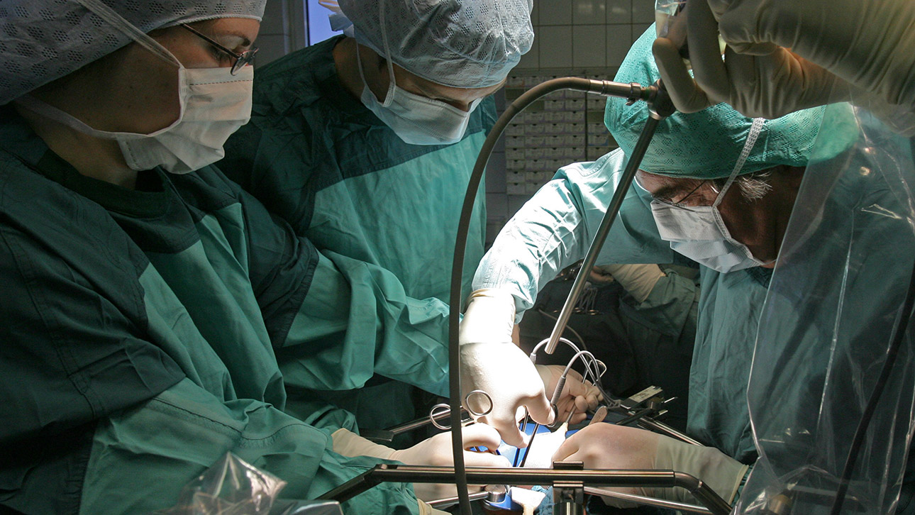 transplantation organspende