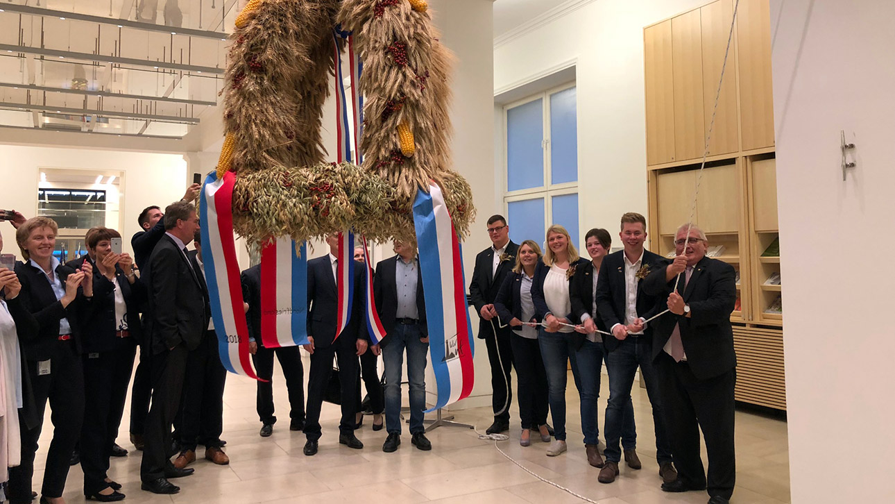 Jugendliche von der Landjugend ziehen mit Landtagspräsident Klaus Schlie eine aus Getreide gebundene Erntekrone an einem Seil nach oben.