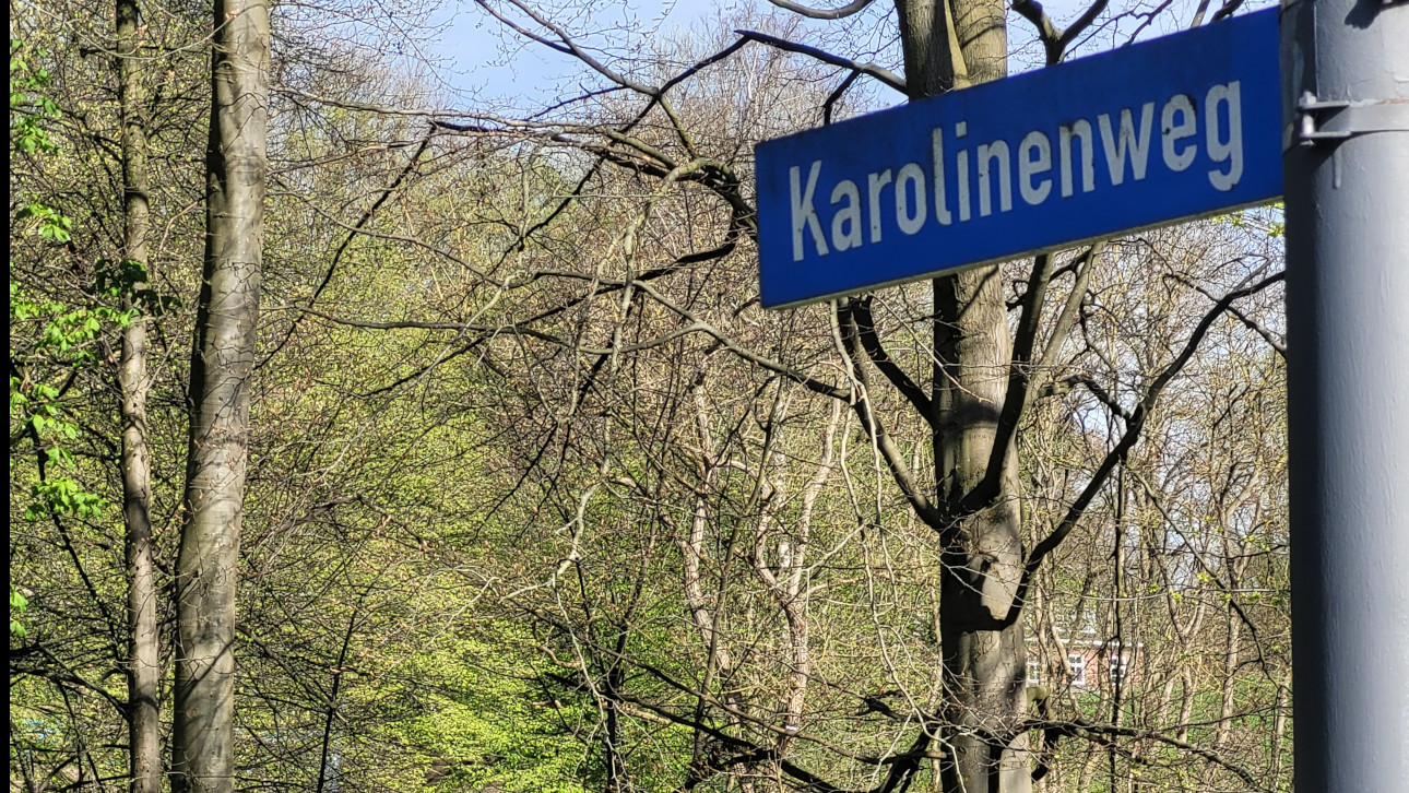 Ausgangspunkt unserer Wanderung: Der Karolienweg, nur ein paar Schritte vom Landtag entfernt.