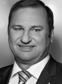 Bild von Nielsen (CDU) Volker 