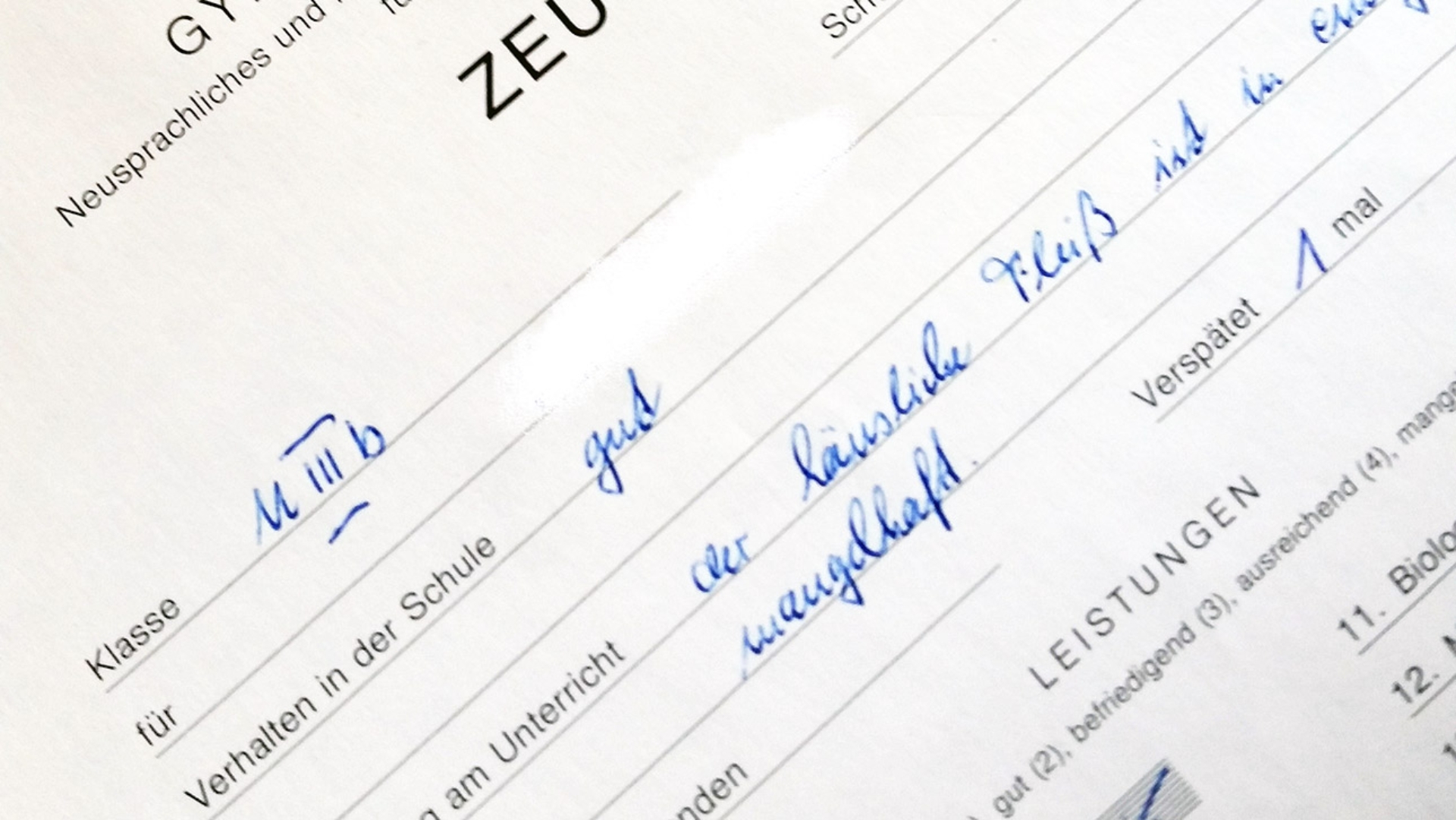 Ein Zeugnis aus dem Jahr 1981 weist ein „gut“  im „Verhalten in der Schule“ aus  .