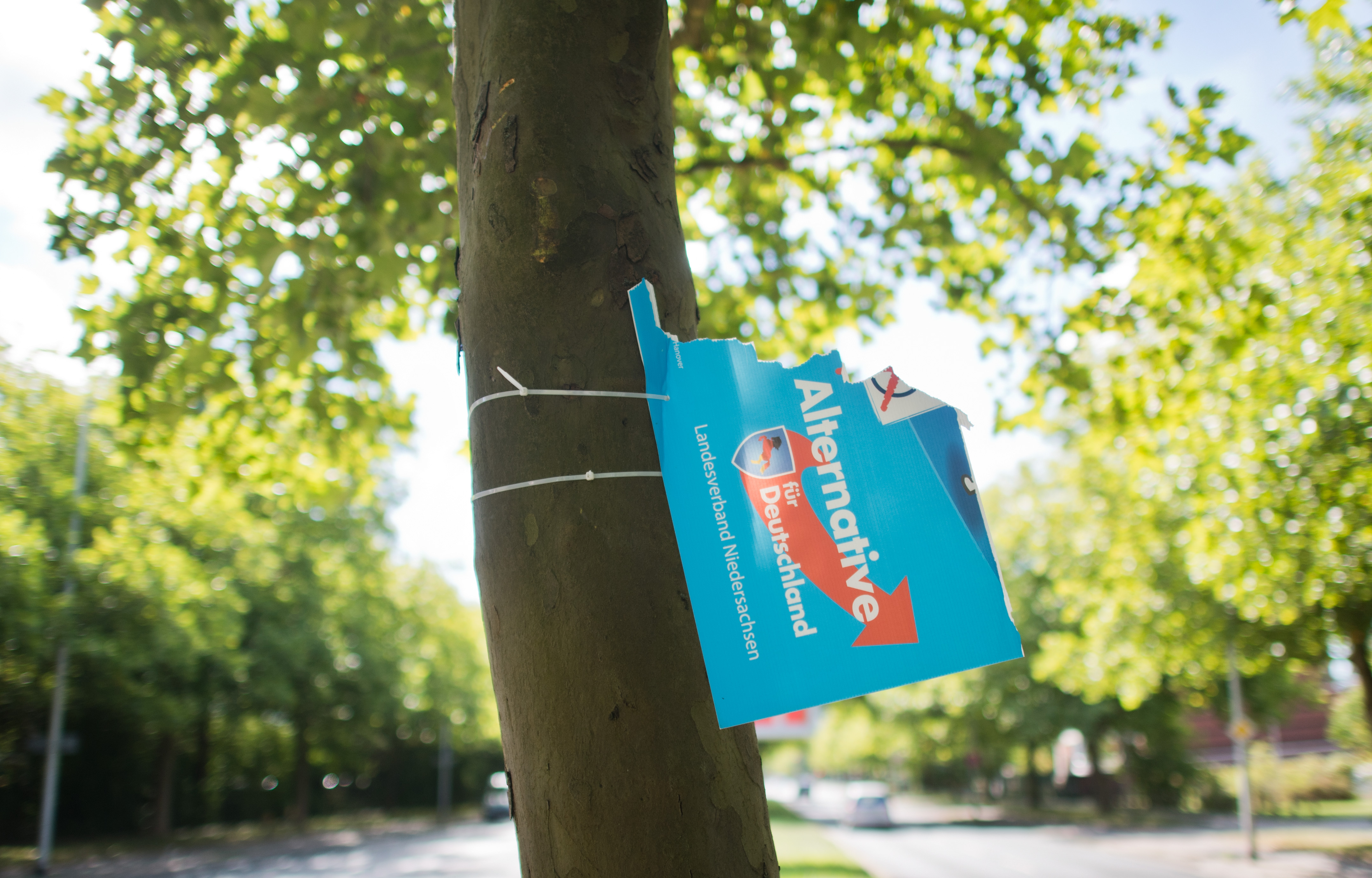 AfD-Wahlplakat