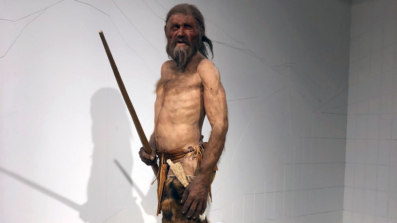 Die Gletschermumie Ötzi als Ausstellungsstück in einem Museum