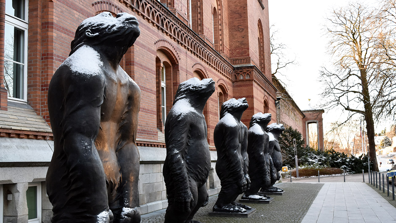 Fünf Gorilla-Skulpturen stehen vor dem Landeshaus. Auf den Schultern sind die über drei Meter großen Affen mit Schnee bedeckt.
