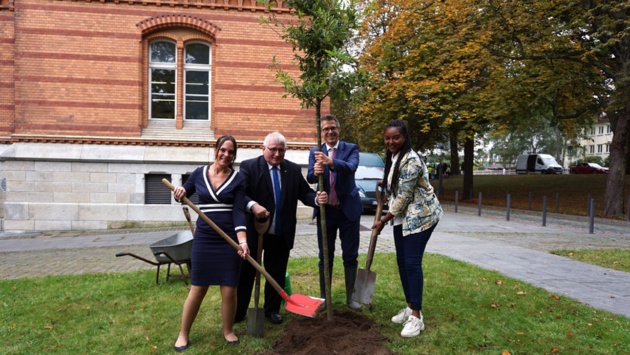 Landtagspräsident Klaus Schlie pflanzt mit den Vizepräsidentinnen Aminata Touré und Annabell Krämer eine Eiche vor dem Landeshaus.