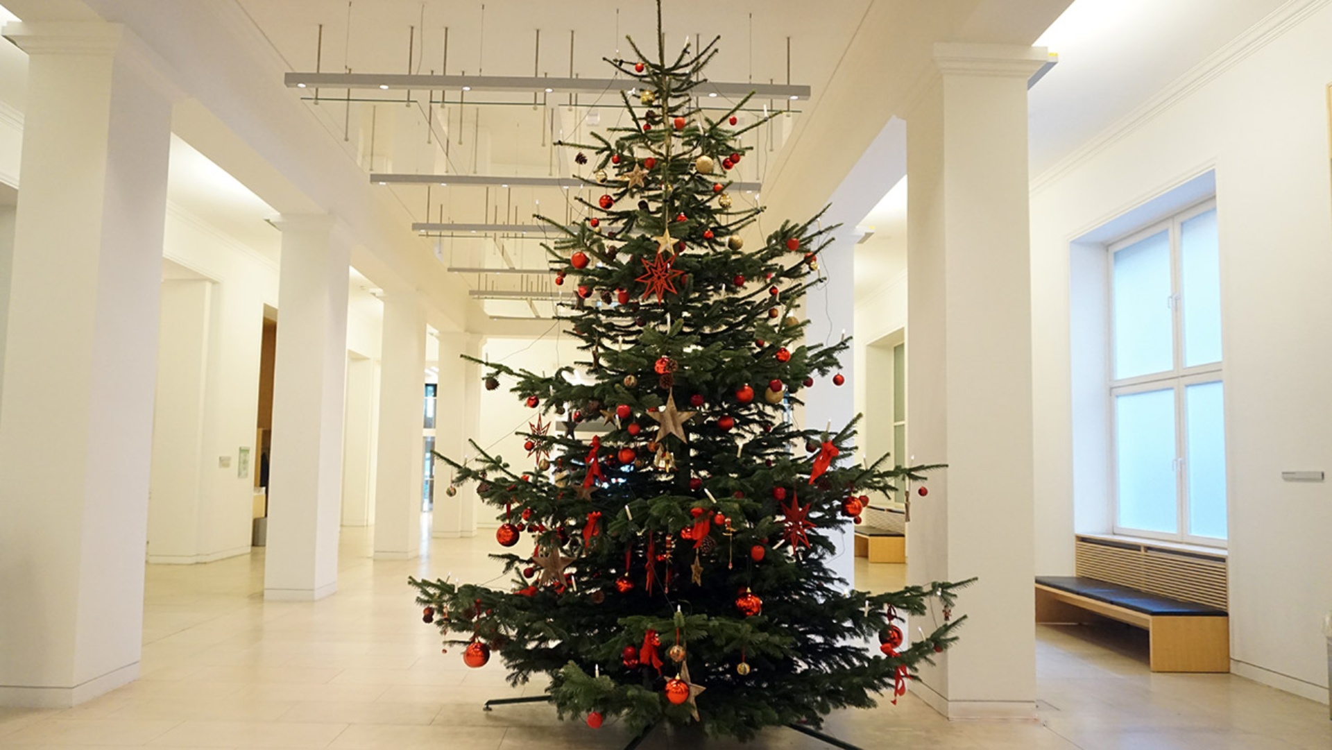 Ein Weihnachtsbaum ziert die Eingangshalle im Landeshaus.