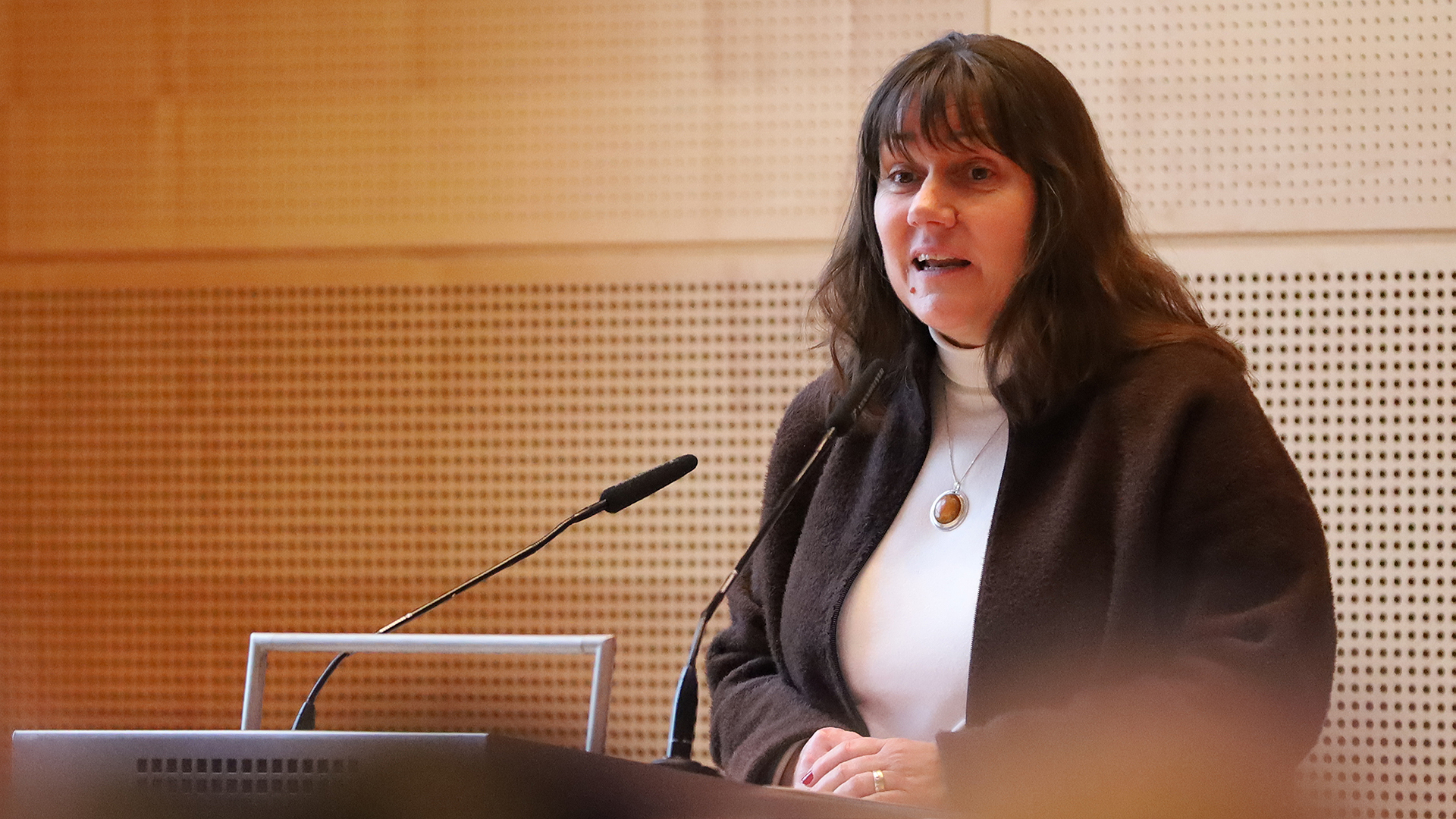 Landtagsvizepräsidentin Beate Raudies hält eine Eröffnungsrede im Rahmen des Schülerzeitungswettbewerbs.