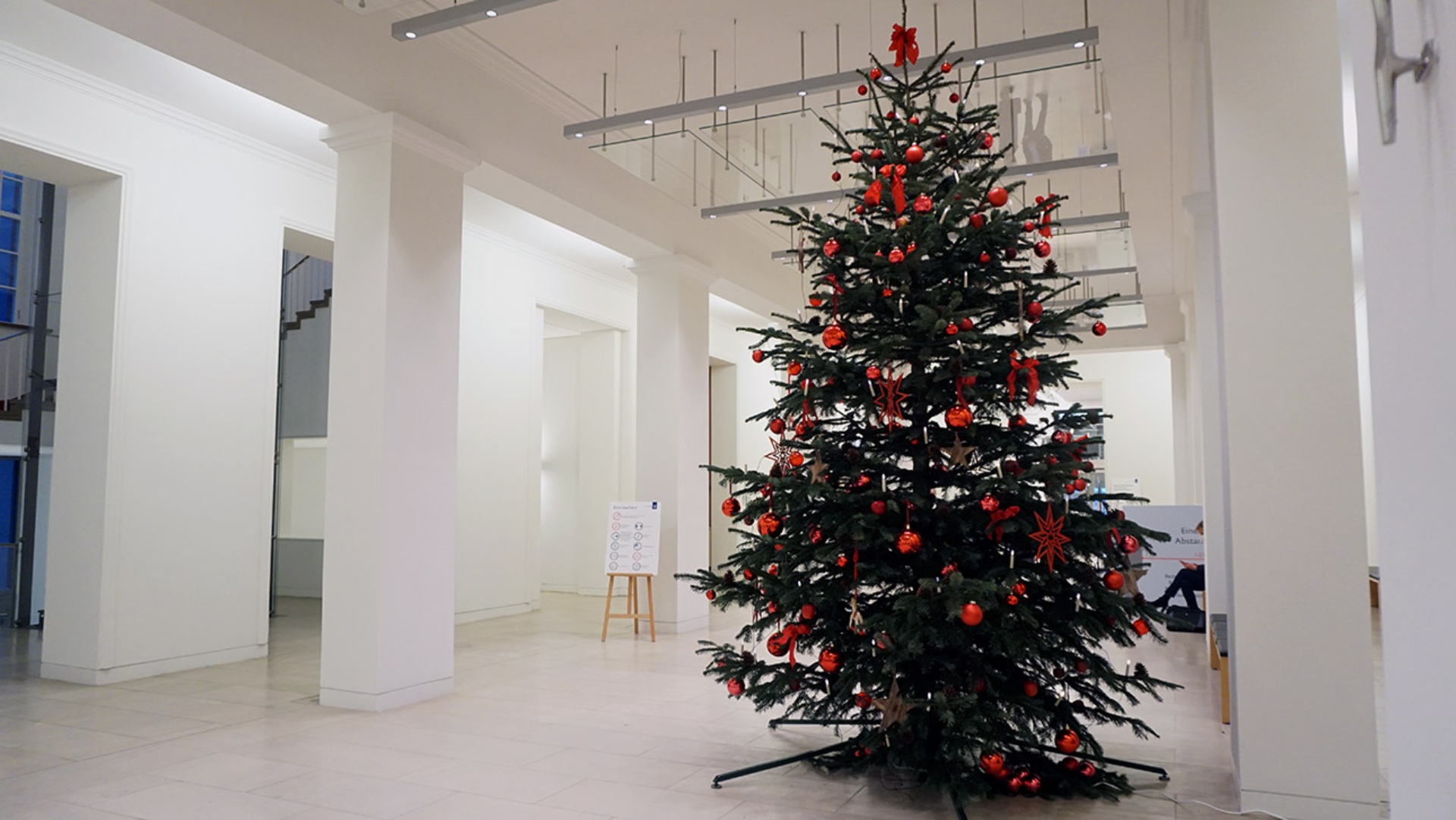 Ein Weihnachtsbaum ziert die Eingangshalle im Landeshaus.