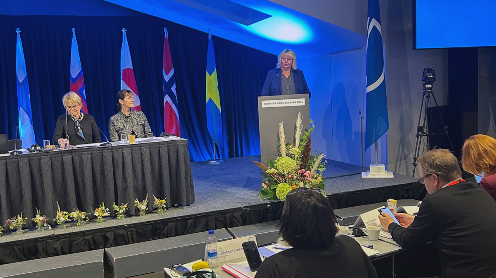 Vize-Landtagspräsidentin Jette Waldinger-Thiering hält ein Grußwort in der Jahressitzung des Nordischen Rates.