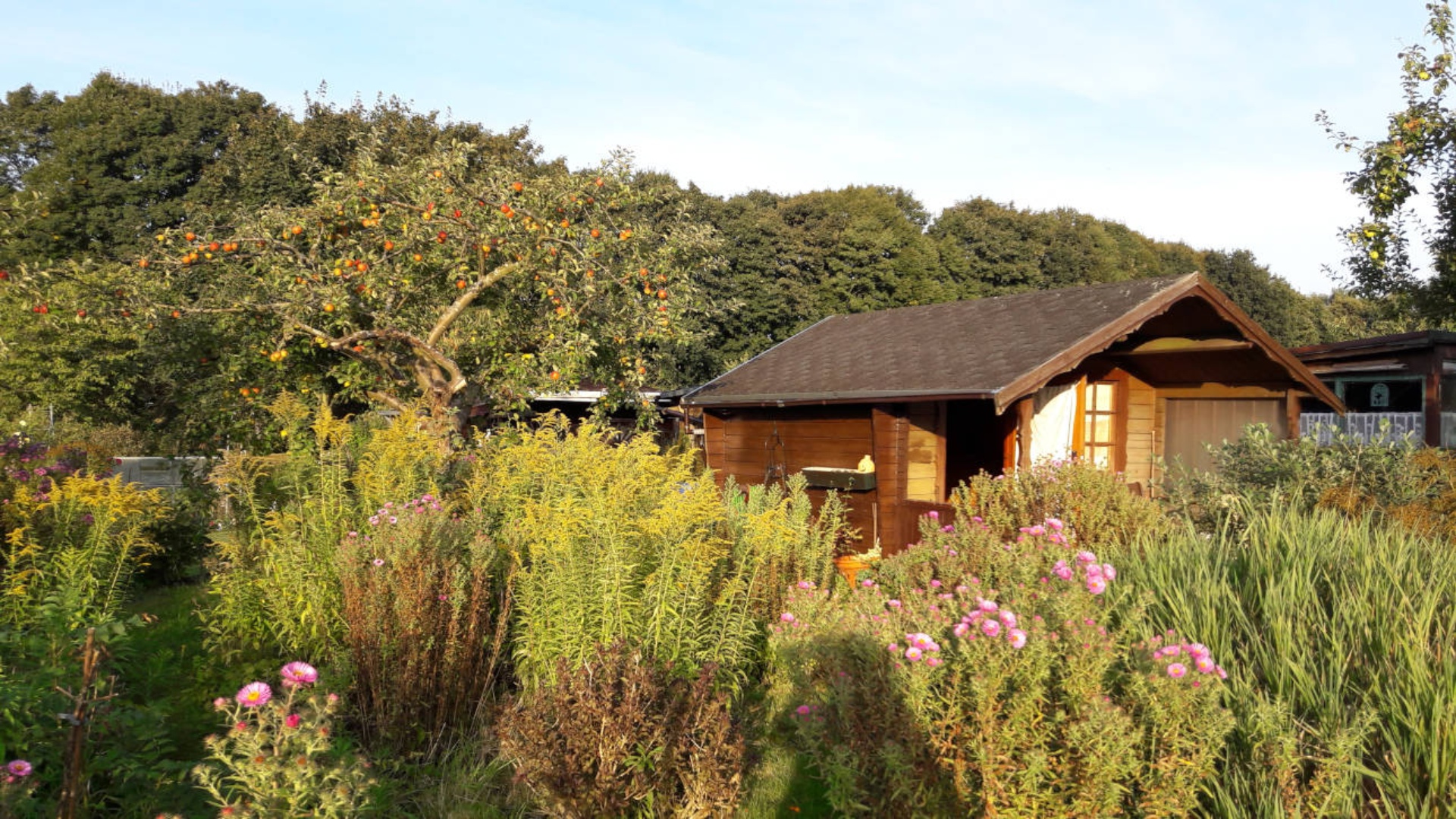 25_03_12_kleingarten_bls_web © Foto: Landtag, Karsten Blaas