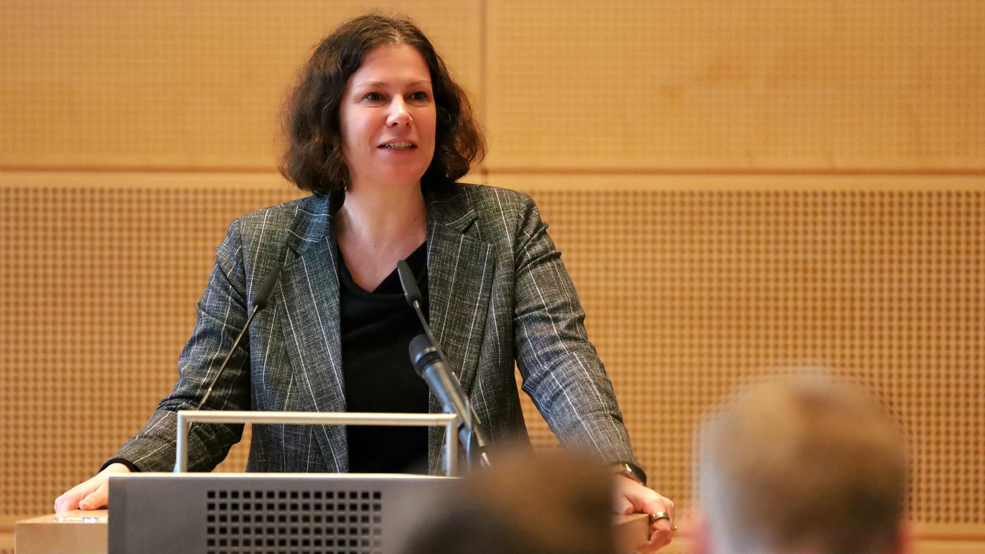 25_12_17_IMG_1837_lichterfest_herbst2_web © Foto: Landtag, Michael Neubauer