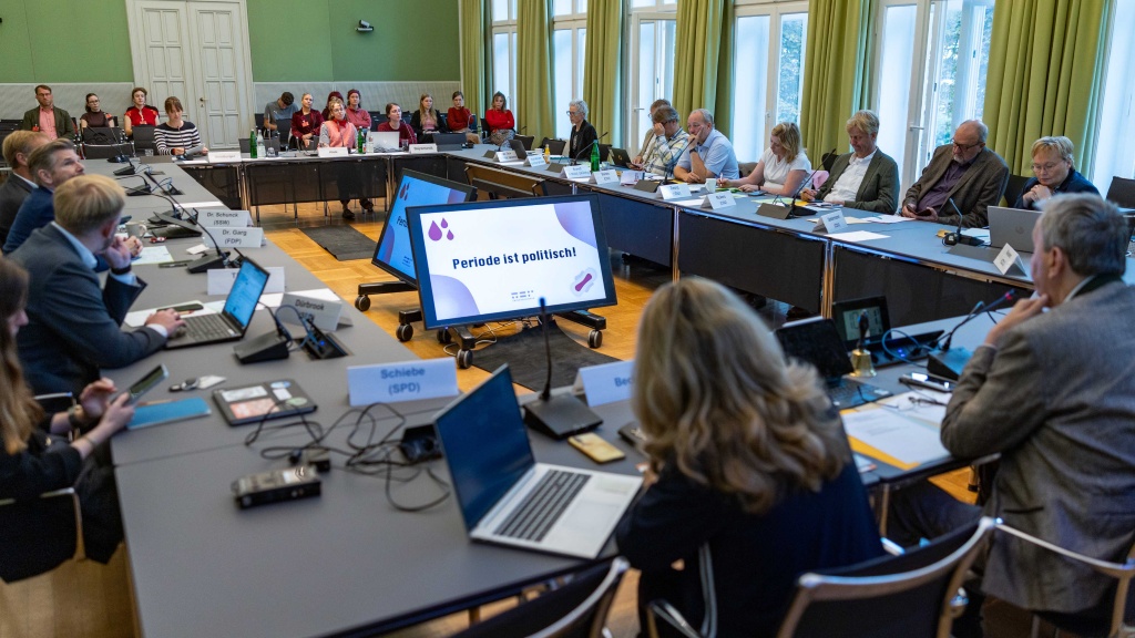 26_09_08_SES12095_petitionsausschuss_menstruationsprodukte_web © Foto: Landtag, Sönke Ehlers