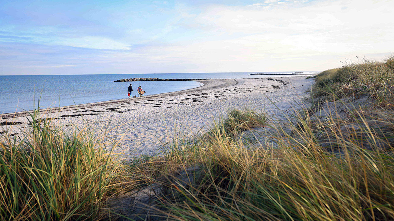 Spaziergänger mit Hunden sind am Schönberger Strand an der Ostsee am Strandabschnitt ´Brasilien´ unterwegs. 