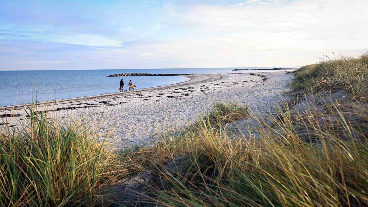 Ostsee Schönnberg Strand Dünen Illustration