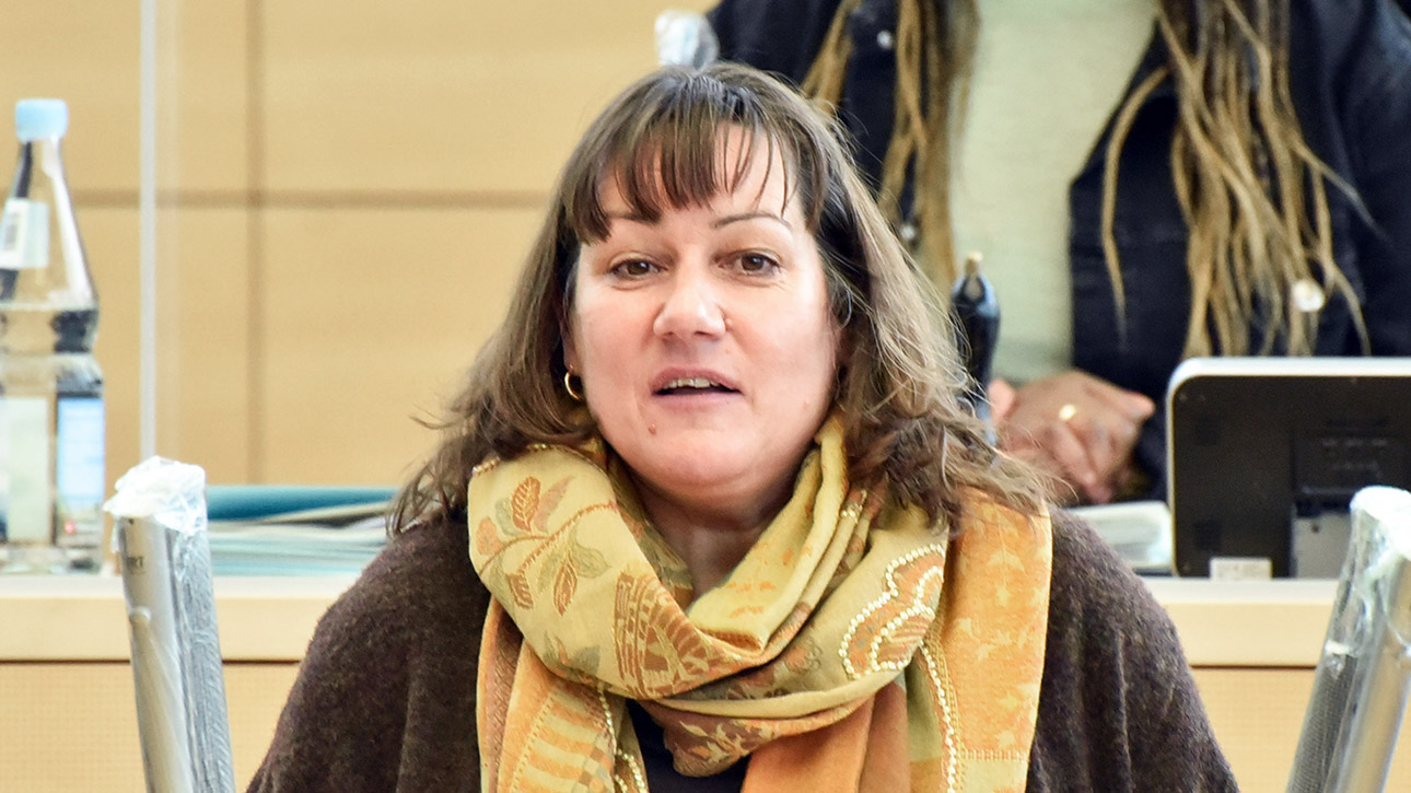 Raudies, Beate SPD Plenum Oktober 2029 - 