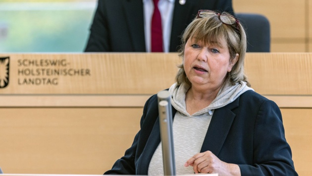 Die SPD-Abgeordnete Sandra Redmann hält eine Rede im Plenarssal des Schleswig-Holsteinischen Landtages
