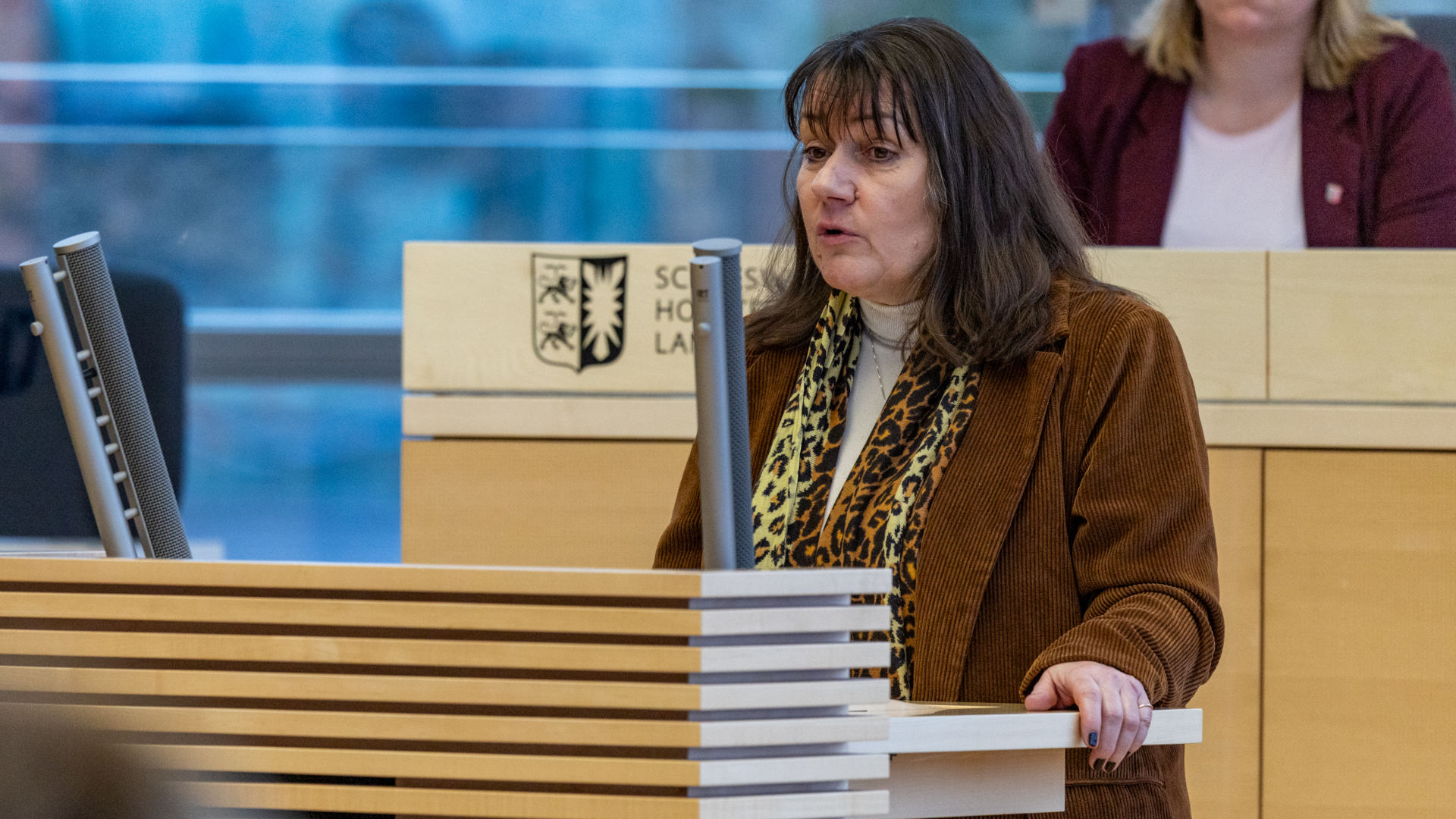 26_01_29_Plenum_SES29028_raudies_web_ses © Foto: Landtag, Sönke Ehlers Bild