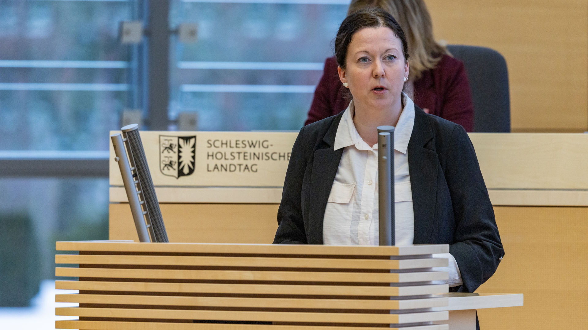 26_01_29_Plenum_SES29046_nitsch_web_ses © Foto: Landtag, Sönke Ehlers Bild