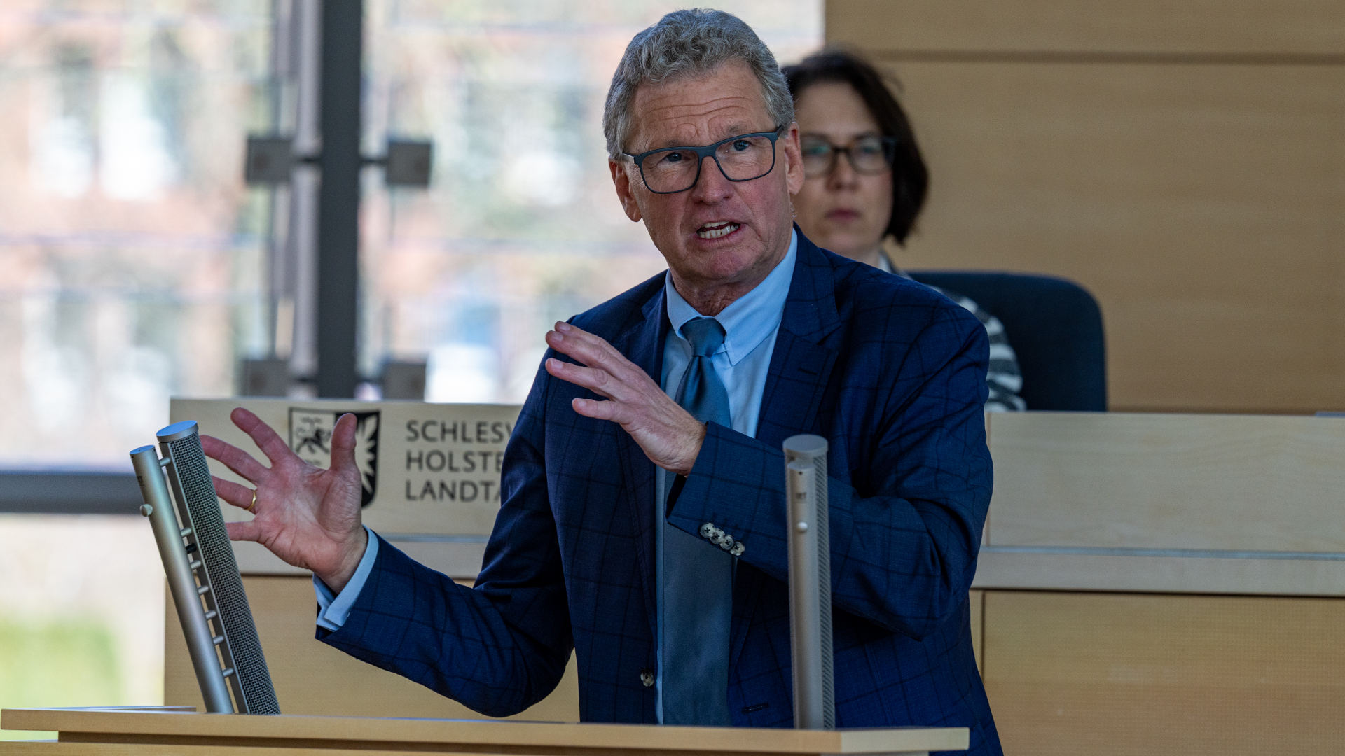 Bernd Buchholz (FDP)