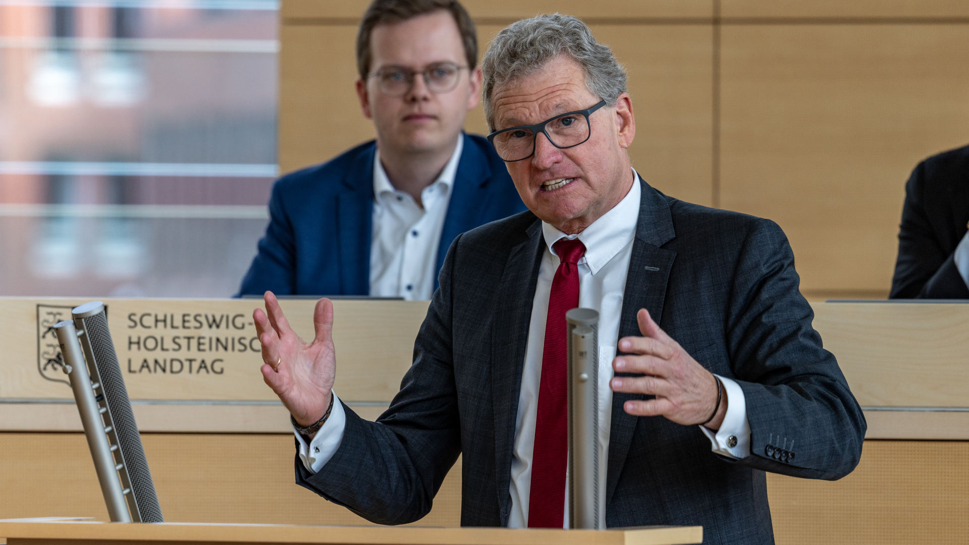 Bernd Buchholz (FDP)