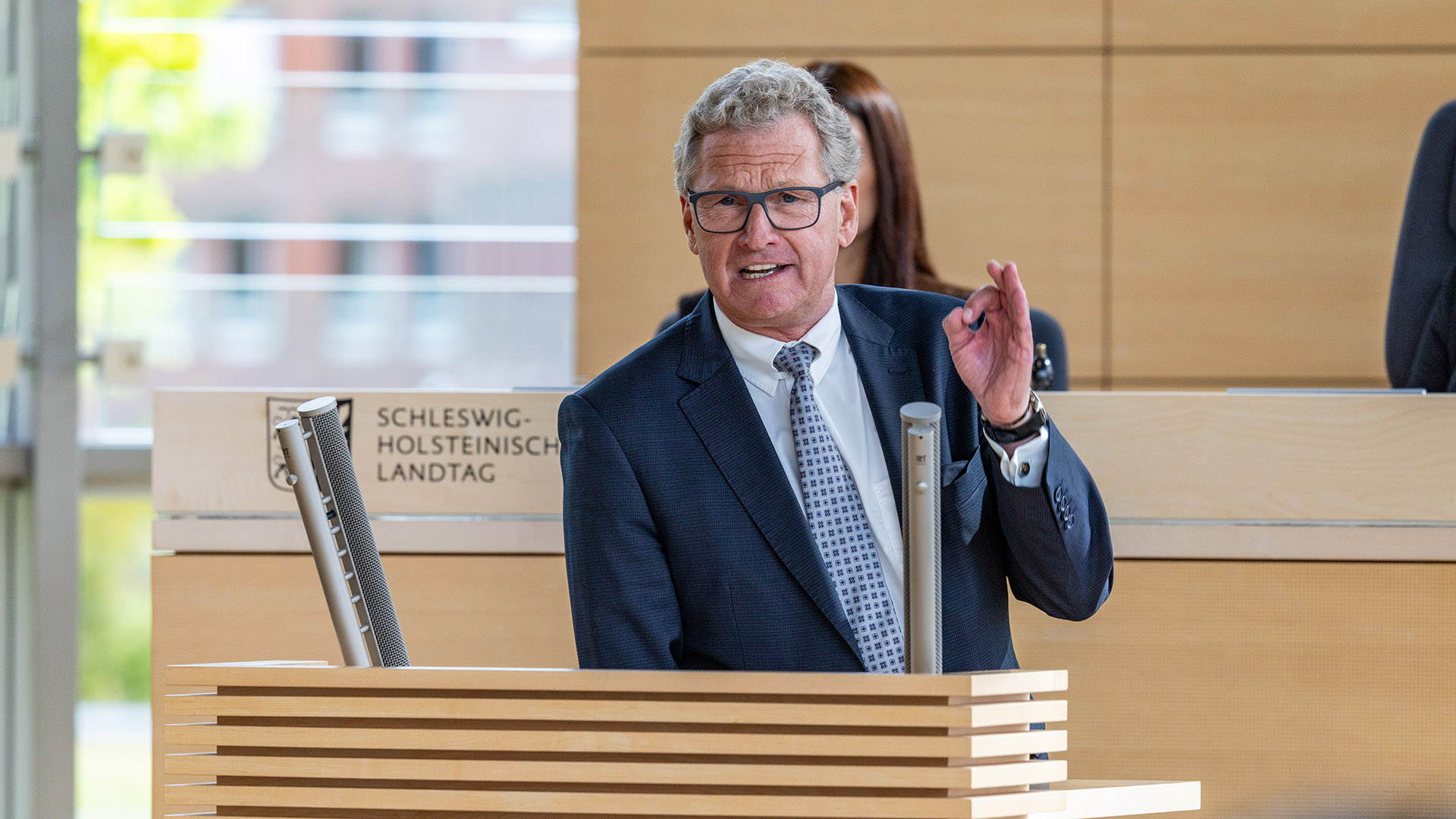 Bernd Buchholz (FDP)