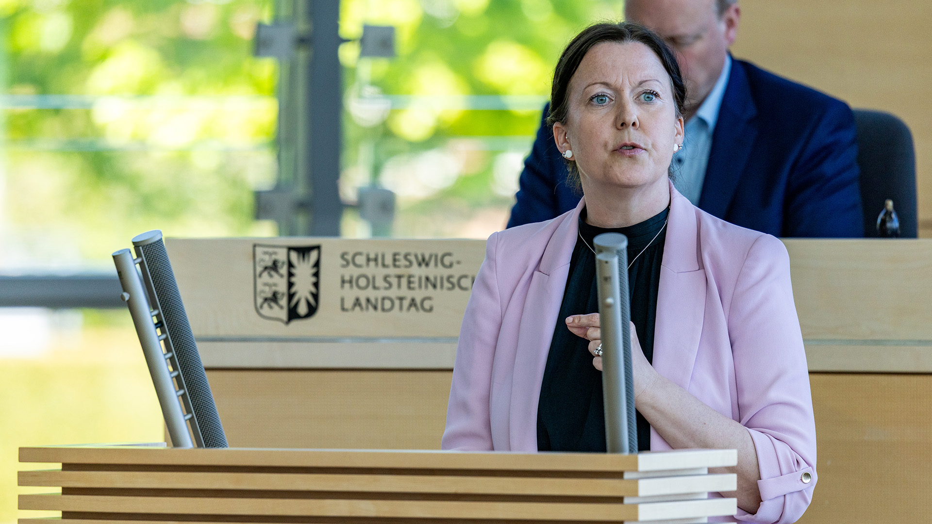 26_05_07_Plenum_SES22492_nitsch_web_ses © Foto: Landtag, Sönke Ehlers