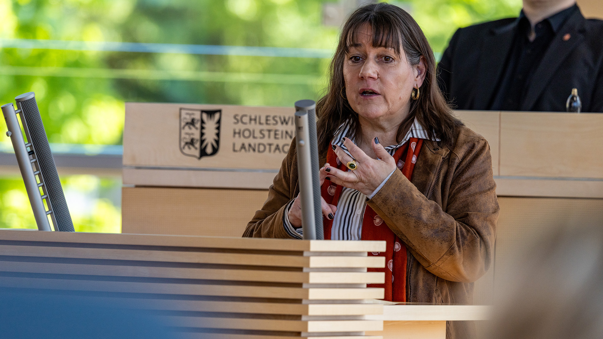 Beate Raudies (SPD)