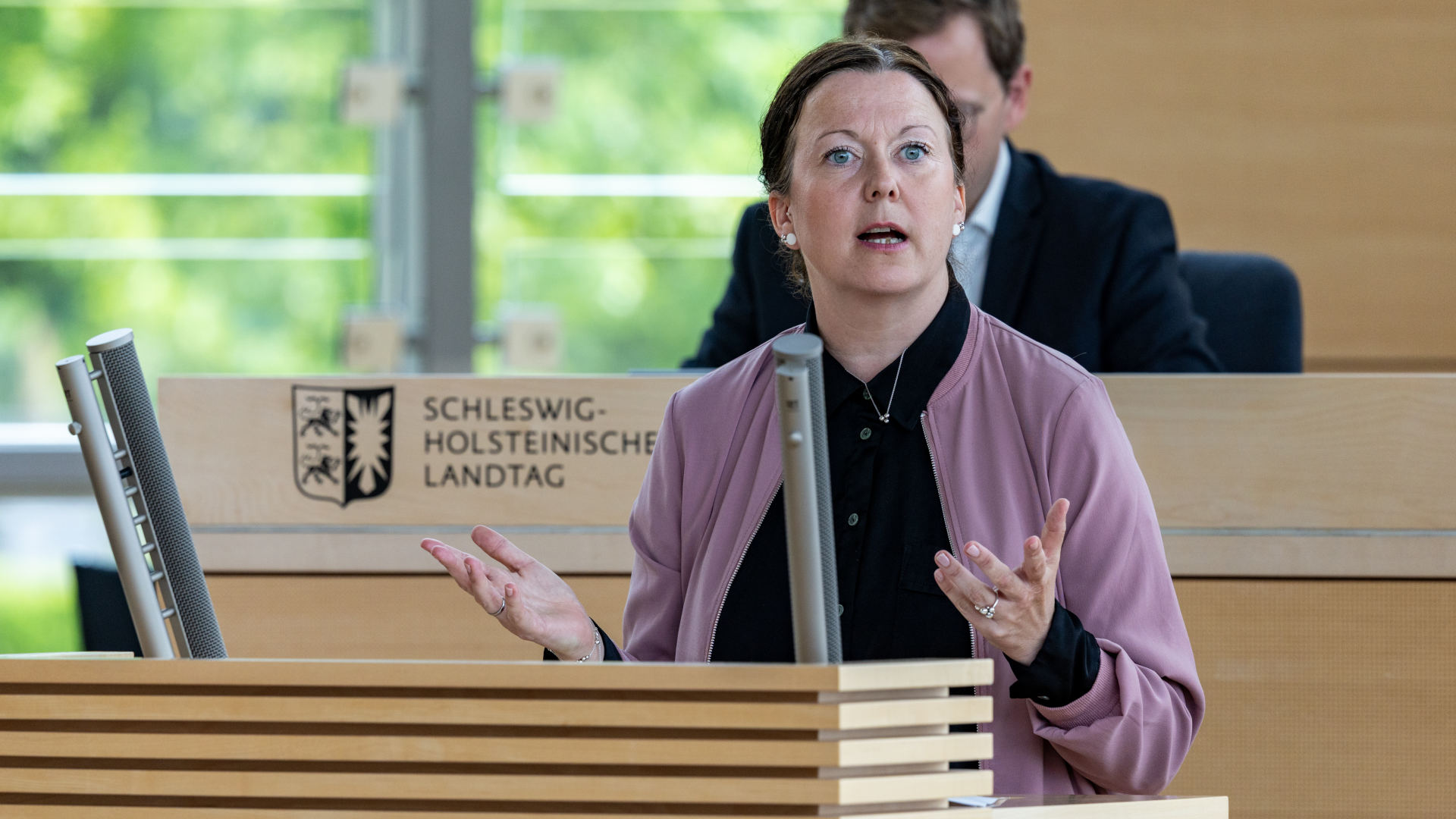 26_06_18_Plenum_SES20681_nitsch_web_ses © Foto: Landtag, Sönke Ehlers