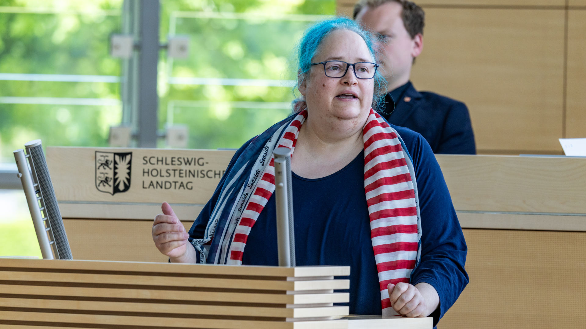 26_06_18_Plenum_SES21009_braun_web_ses © Foto: Landtag, Sönke Ehlers