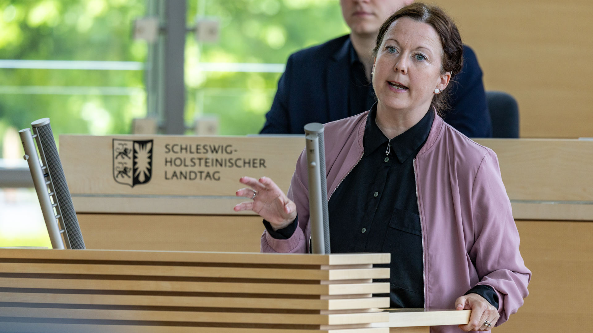 26_06_18_Plenum_SES21204_nitsch_web_ses © Foto: Landtag, Sönke Ehlers