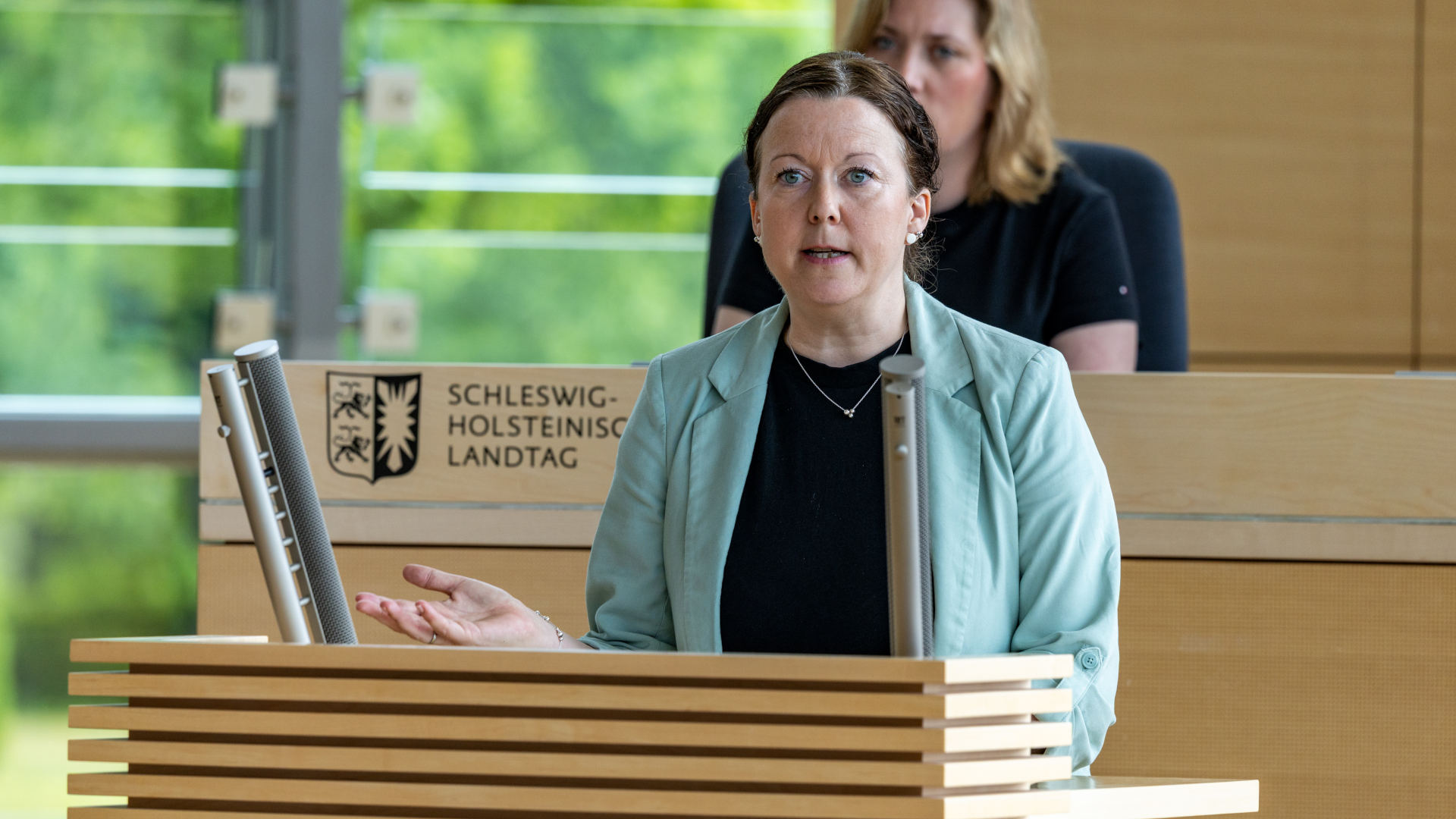 26_06_19_Plenum_SES23206_nitsch_web_ses © Foto: Landtag, Sönke Ehlers