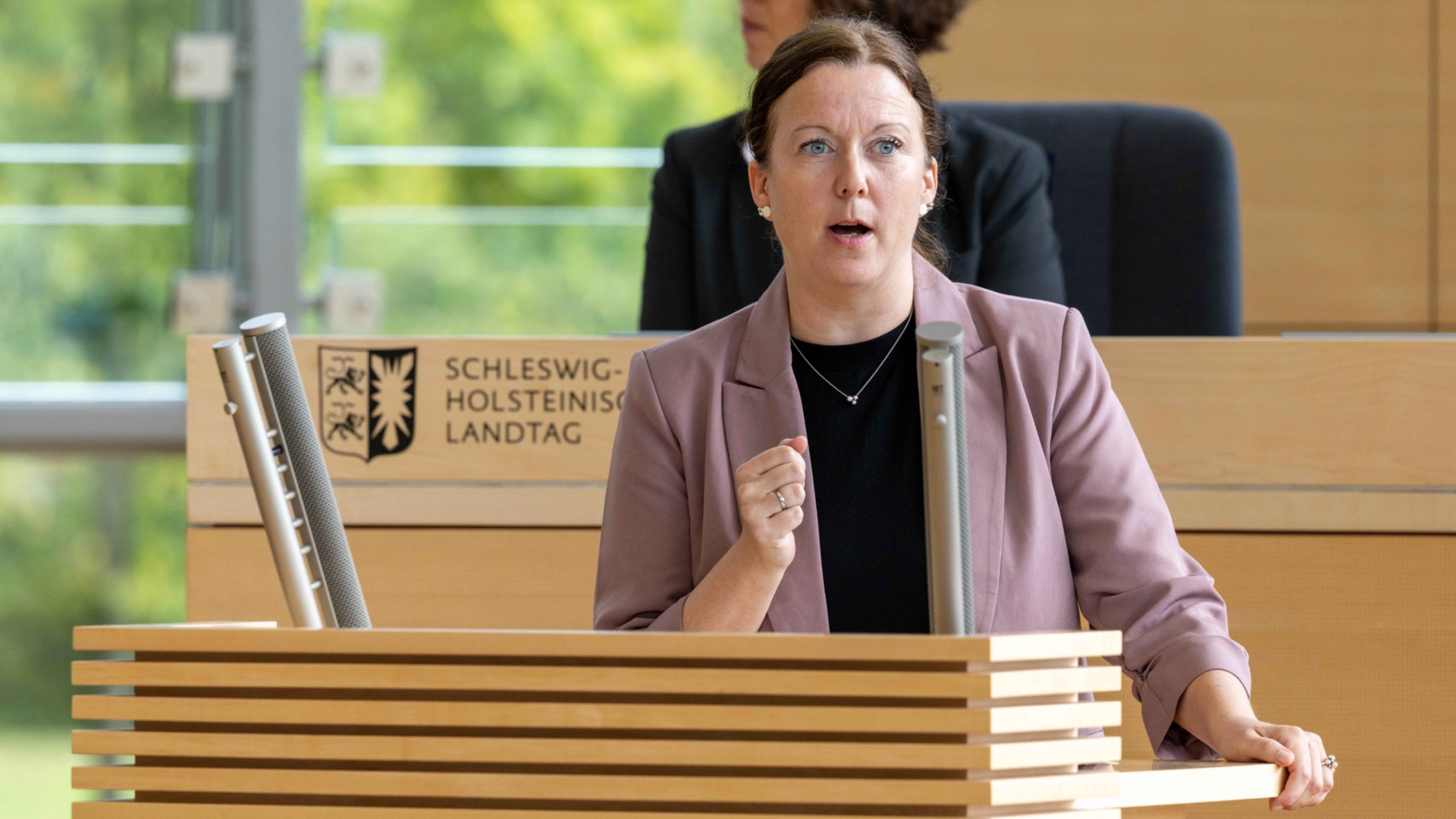 26_09_17_SES22341_nitsch_web © Foto: Landtag, Sönke Ehlers