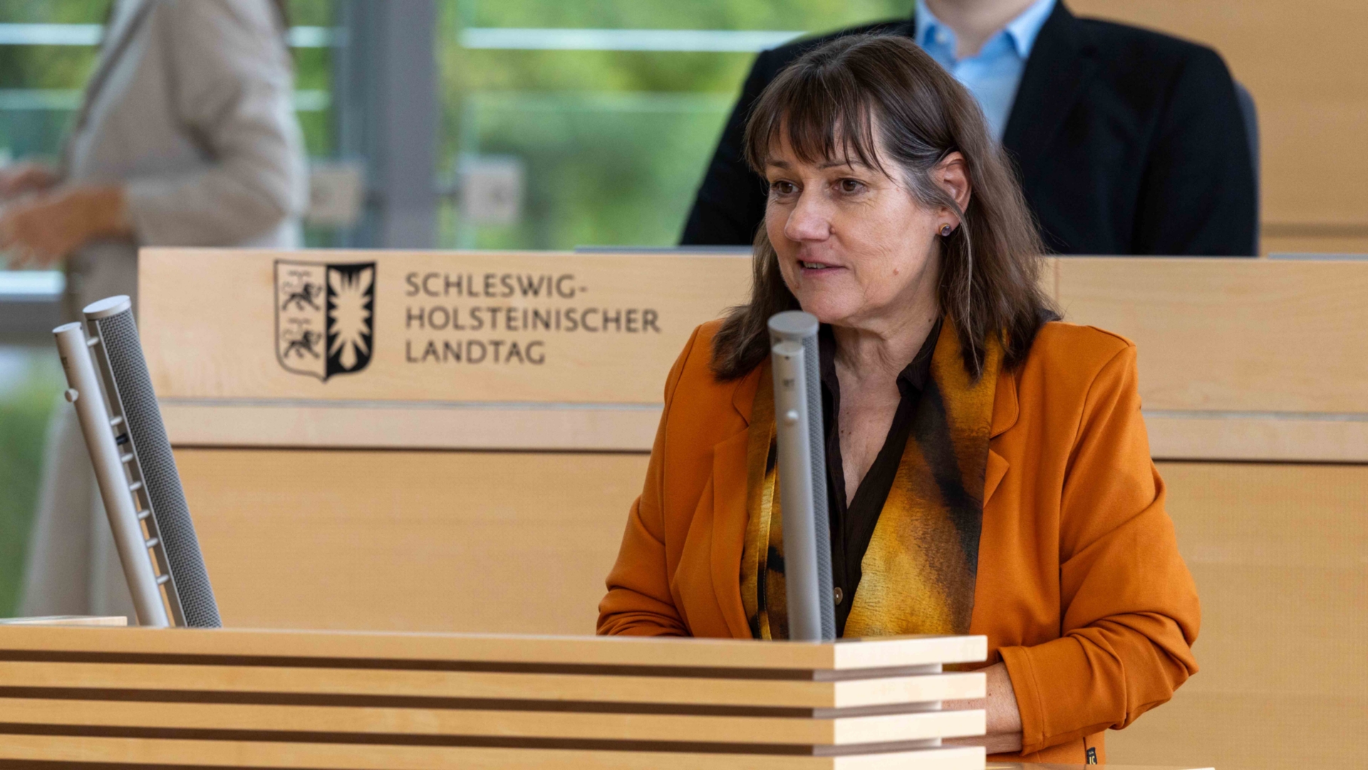 26_09_17_SES22908_raudies_web © Foto: Landtag, Sönke Ehlers