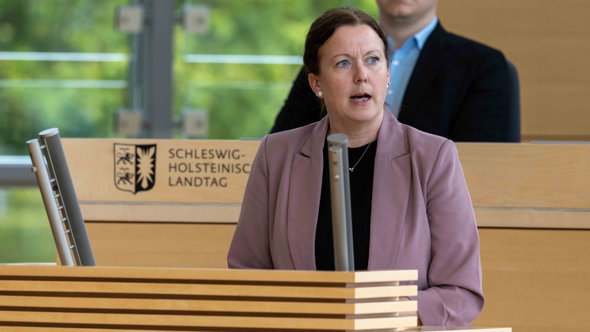 26_09_17_SES23169_nitsch_web © Foto: Landtag, Sönke Ehlers