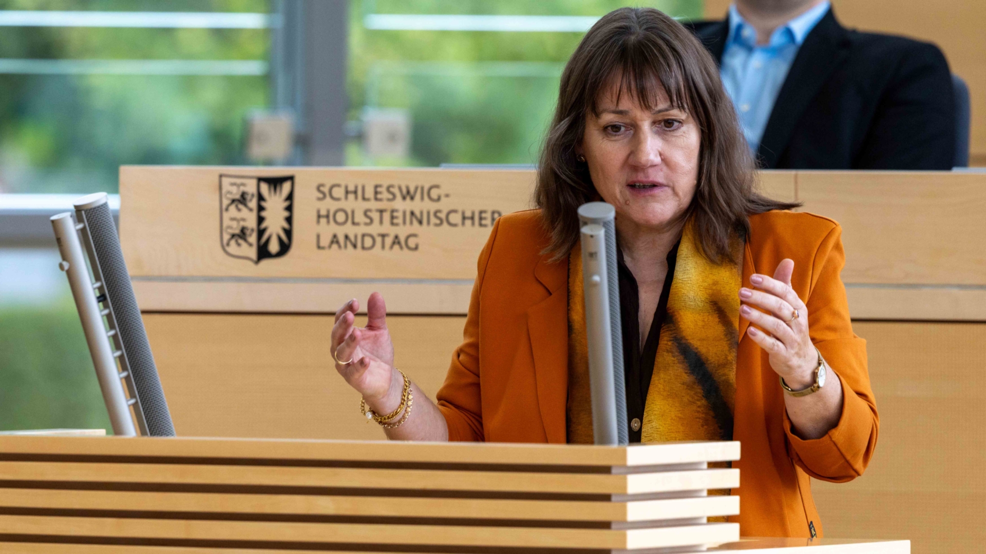 26_09_17_SES23321_raudies_web © Foto: Landtag, Sönke Ehlers