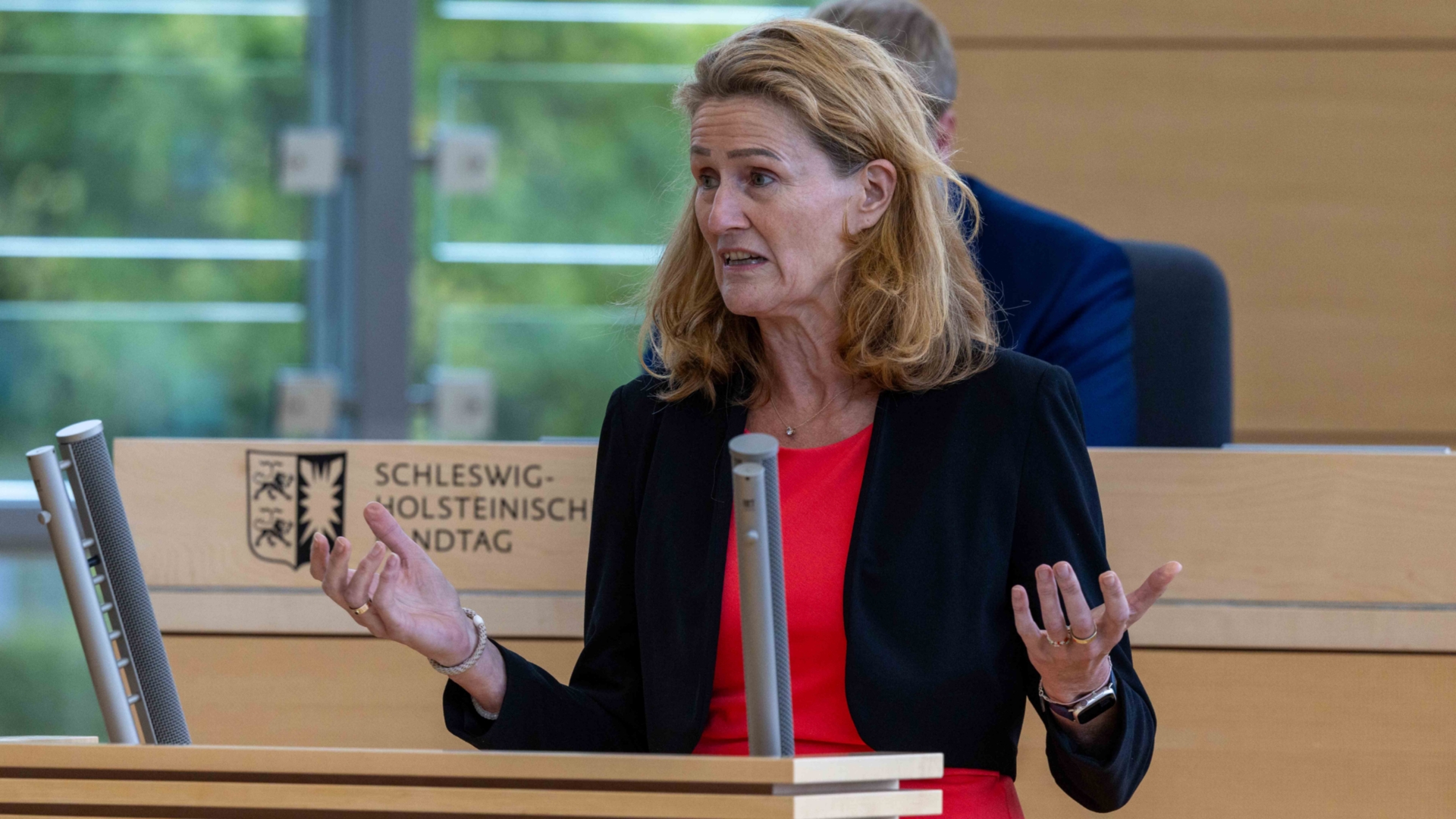 26_09_17_SES23926_schneider_web © Foto: Landtag, Sönke Ehlers