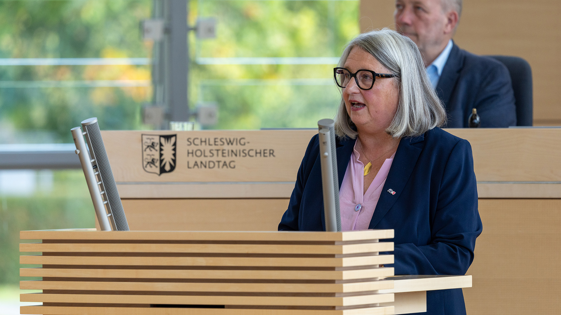 26_10_07_SES18896_stenke_web © Foto: Landtag, Sönke Ehlers