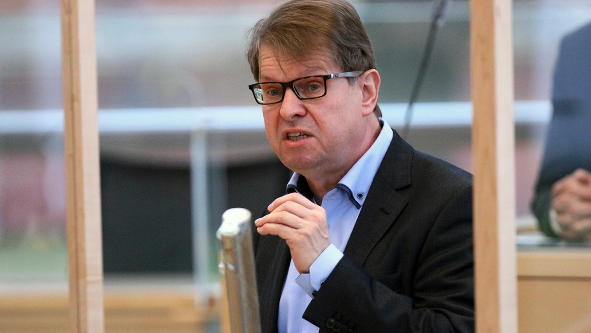 Ralf Stegner am Rednerpult