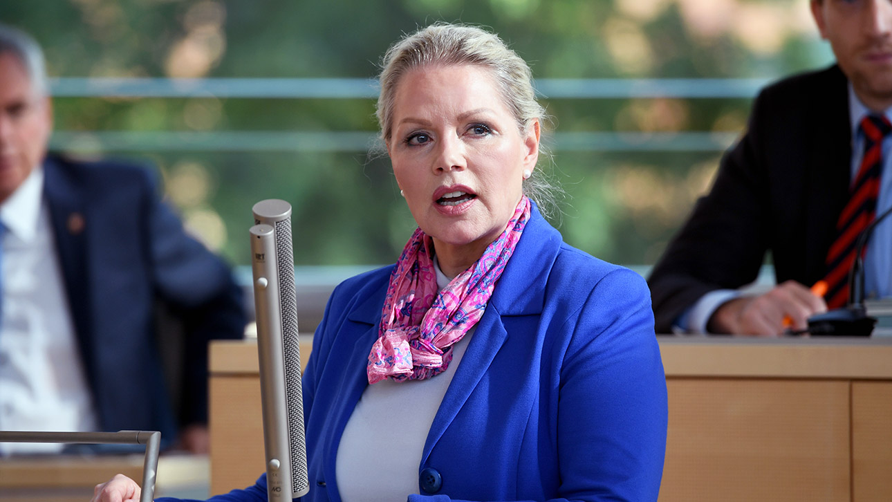 von Wittgenstein AfD