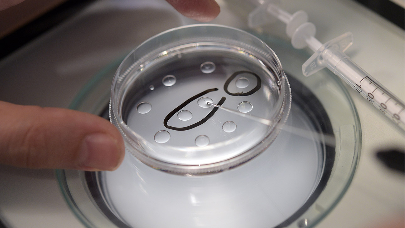 Kinderwunschbehandlung Küenstliche Befruchtung Illustratioer