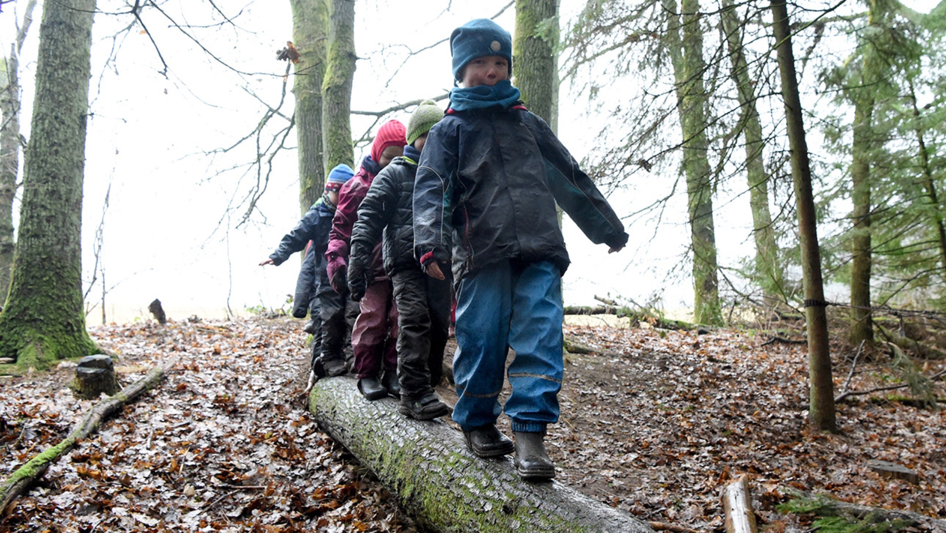 Kinder der „Waldhasen“-Gruppe balancieren in Aukrug (Kreis Rendsburg-Eckernförde) auf dem Gelände eines Waldkindergartens am Boxberg auf einem Baumstamm.