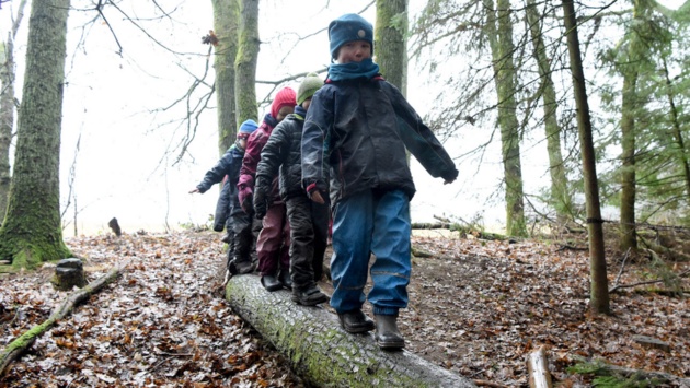 Kinder der „Waldhasen“-Gruppe balancieren in Aukrug (Kreis Rendsburg-Eckernförde) auf dem Gelände eines Waldkindergartens am Boxberg auf einem Baumstamm.