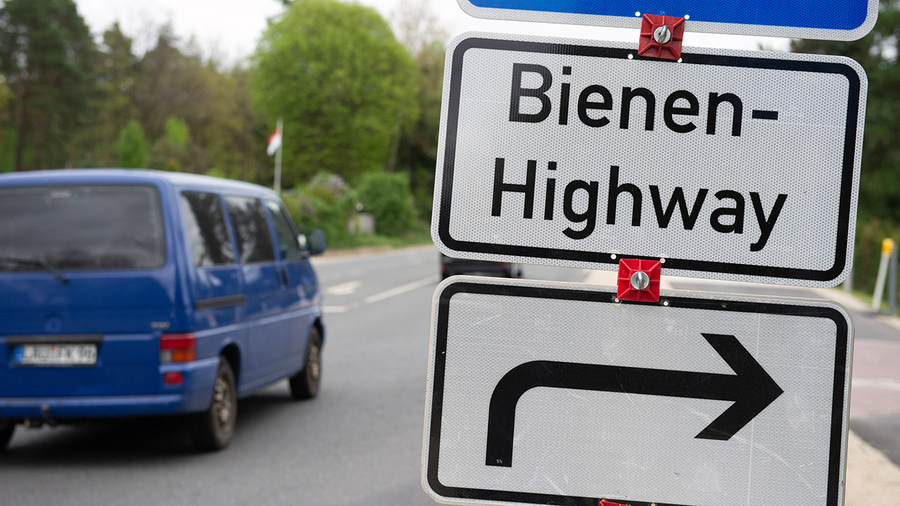 Blühstreifen Straße Fahrbahnrand Schild