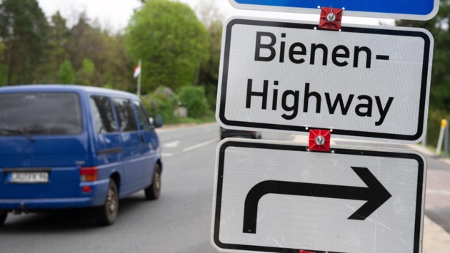 Ein Schild mit der Aufschrift «Bienen-Highway» steht anlässlich eines Pilotprojektes "Bienen-Highway" in Bayern für mehr Artenschutz am Straßenrand.