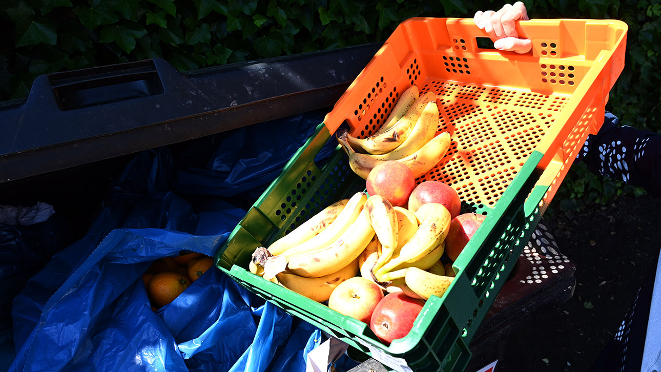 Container containern Supermarkt Lebensmittel Verschwendung