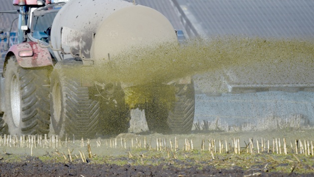 Ein Traktor mit Gülleanhänger versprüht Gülle auf einem Feld.