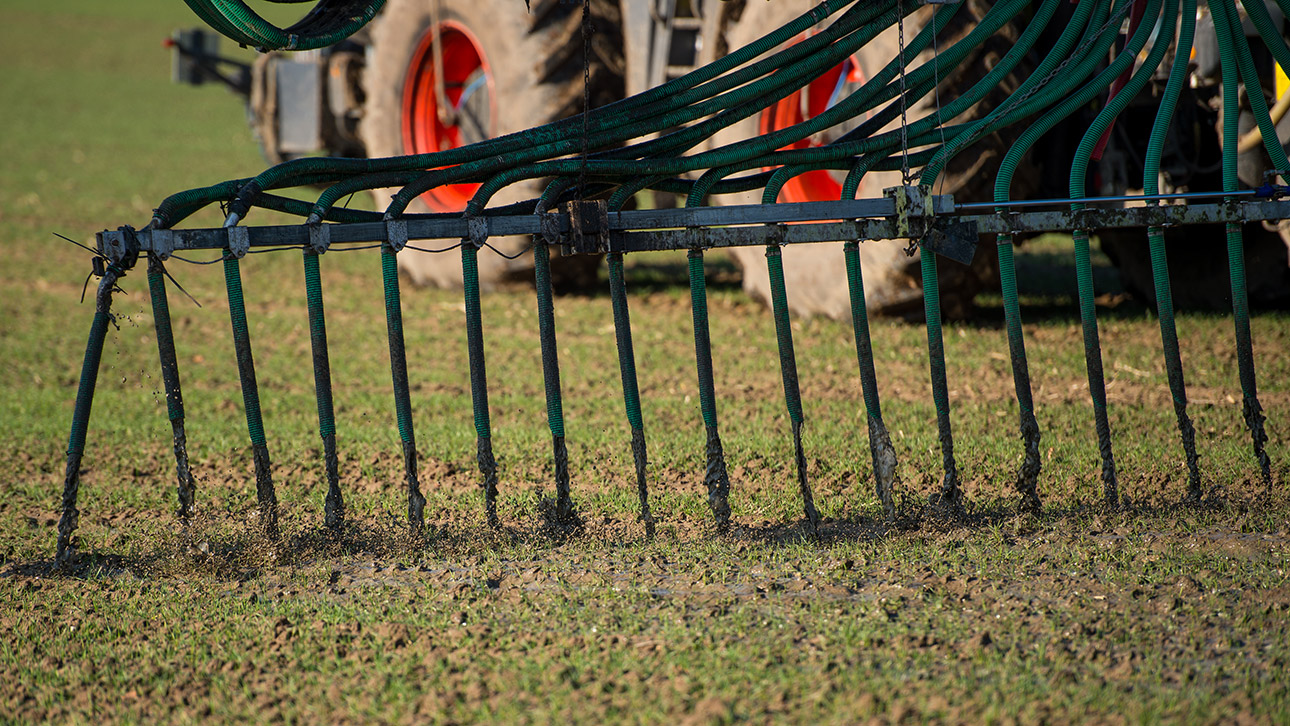 Düngeverordnung Gülle Grundwasser