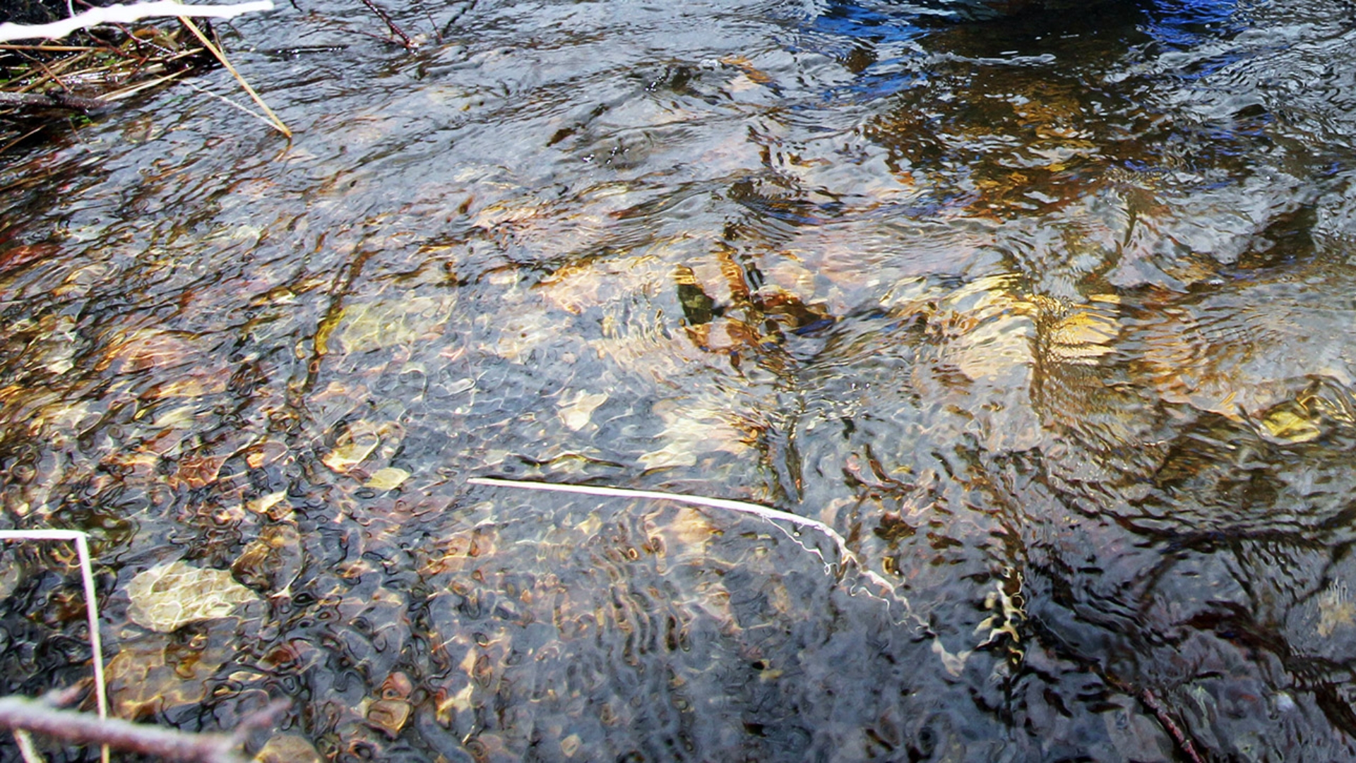 Blick in den kleinen Bach "Gasbek". Durch das glasklare Wasser sind Steine im Flussbett zu sehen.