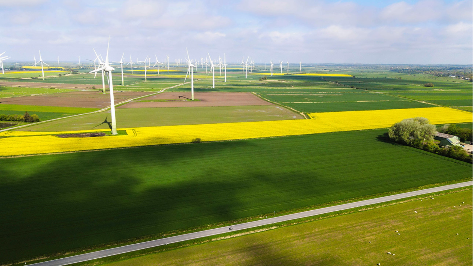 Reußenköge in Nordfriesland: Die Sonne scheint bei wechselhaftem Wetter auf ein Rapsfeld hinter dem Windräder stehen. 